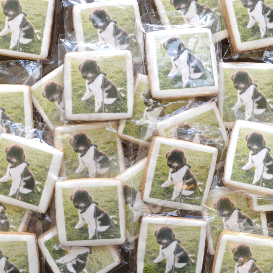 Treats Chefanie | Custom Printed Cookies